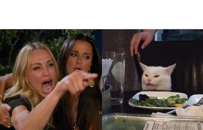 Meme Woman Yelling At Cat: ¡El contador volvió a cero! / Yo cuento 24 horas corridas